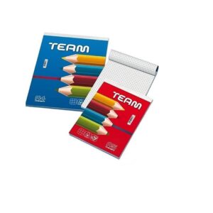 Blocco Notes Blasetti Team A4 | Quadri 5mm | 50 Fogli 50gr