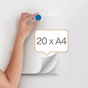 Magneti Nobo Extra-Forte Ø 38mm | 10 pz | Assortiti